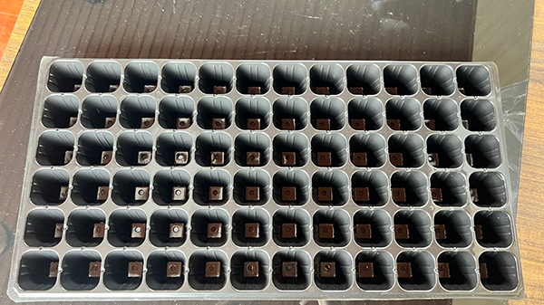 濟寧PET片材價格